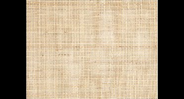 Rotan, B: 40 cm, fijn, 50 cm/ 1 rol