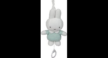 Nijntje Safari Muziekdoosje Mint