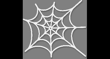 Creotime Knutselset Spinnenweb 19 X 21 Cm Karton Wit 16 Stuks