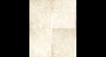 Dutch Wallcoverings schuimvinyl steen - beige