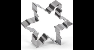 uitsteekvorm Sneeuwvlok 8 cm RVS zilver