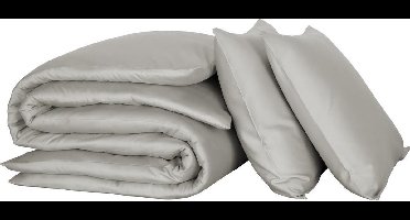 De Witte Lietaer Lakenset Olivia - Eenpersoons - 180 x 280 cm - Grijs - Satijnkatoen