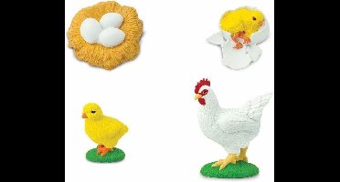 Safari Levenscyclus - Kip