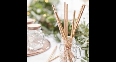 Ginger Ray - Ginger Ray - Beautiful Botanics - Rietjes Effen kleur Rose Goud (25 stuks)