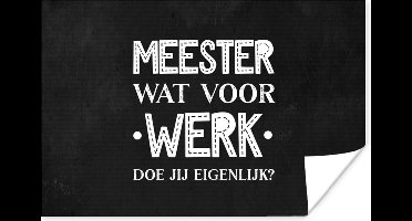 Poster Wit - Quote - Meester bedankt - Meester wat voor werk doe jij eigenlijk? - Spreuken - 30x20 cm