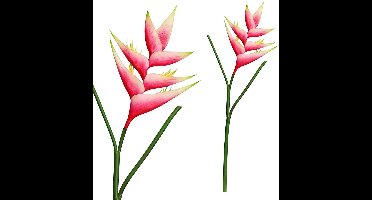 PTMD Garden Bloem Heliconia Kunstbloem - 36 x 18 x 86 cm - Roze