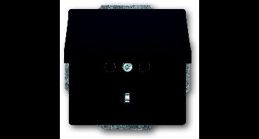 ABB Busch-Jaeger Future Wandcontactdoos (WCD-Schakelmateriaal) - 2CKA002018A1486 - E2H8A