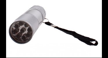 Johntoy Zaklamp Led Batterij 9 X 2,5 Cm Zilver