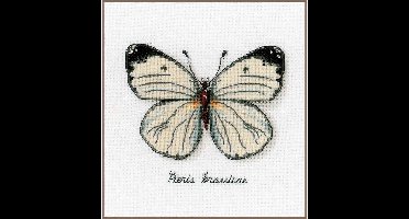 Vervaco - Telpakket kit - Witte vlinder - PN-0165233 - Borduren - Borduurpakket - Borduurpakket volwassenen