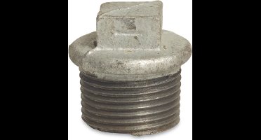 Plug 290 Met Rand 1Bu Verz