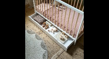 Petite Amélie ® Opberglade op wieltjes - Bedlade - 60 x 120 cm - Extra opbergruimte - Wit