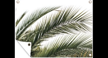 GreatGardenPosters - Tuindecoratie - Bladeren - Palmboom - Natuur - Zomer - 120x90 cm - Tuinposter - Muurdecoratie - Wanddecoratie - Tuindoek - Buitenposter