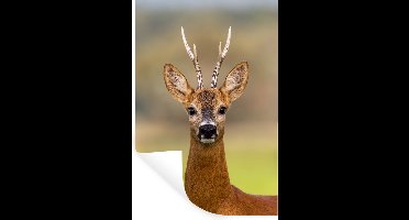 Muurstickers - Sticker Folie - Hert - Gewei - Hertenkop - 20x30 cm - Plakfolie - Muurstickers Kinderkamer - Zelfklevend Behang - Zelfklevend behangpapier - Stickerfolie