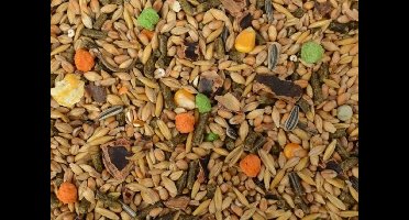 Wielink Gemengd Konijnenvoer Speciaal 20KG