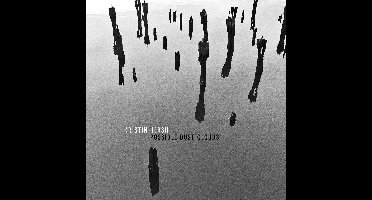 Kristin Hersh - Possible Dust Clouds (LP)