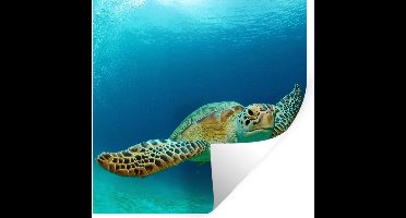Muurstickers - Sticker Folie - Close-up foto van groene zeeschildpad - 30x30 cm - Plakfolie - Muurstickers Kinderkamer - Zelfklevend Behang - Zelfklevend behangpapier - Stickerfolie
