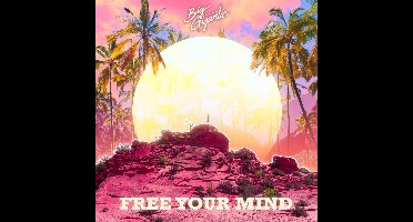 Big Gigantic - Free Your Mind (CD)