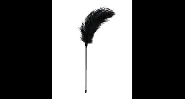 EasyToys - Zwarte, Lange Kietelaar met Veren - Tickler - BDSM - Sex Toys voor Vrouwen en Mannen - Zwart