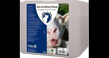 Excellent Liksteen 10 kg - Liksteen paard - Mineralen liksteen - Liksteen schaap - Rotszout