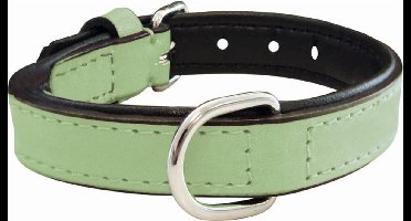 Hondenhalsband Gloria Gestoffeerd Groen (55 cm) (55 x 2,5 cm)