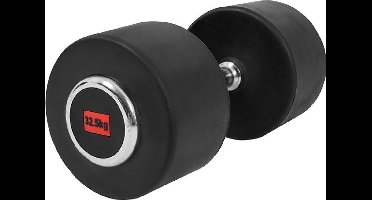 Gorilla Sports Dumbell - Vaste Halter - Gietijzer met Rubber coating - 32,5 kg