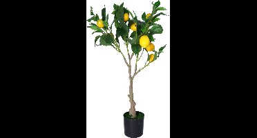 H&S Collection Kunst citrus boom in pot - citroen - 70 cm - kunstplant - voor binnen