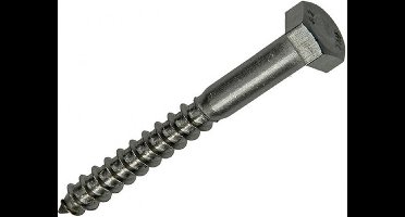 Mack HOUTDRAADBOUT ROESTVRIJSTAAL 2 ST 8 X 70 MM