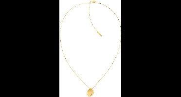 Calvin Klein CJ35000224 Dames Ketting - Collier