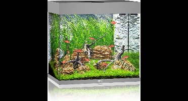 Juwel Aquarium Lido 120 Led 61x41x58 cm - Aquaria - Grijs Ca. 120 L