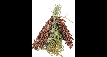 Jr Farm Pick En Fly - Vogelvoer - 13x9x33 cm 130 g