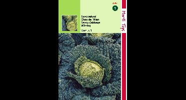2 stuks - Hortitops - Savooiekool Vertus 3 Grote Late Groene