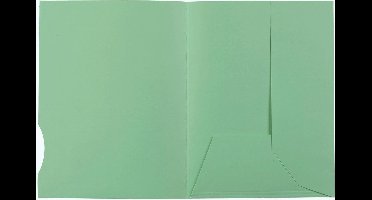 Exacompta 5x SUPER 210 - Pak van 50 mappen met 2 kleppen - 24x32cm - - Lichtgroen - 335004E