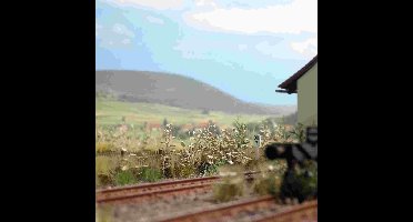 Busch - Gestrüpp H0 (Bu1260) - modelbouwsets, hobbybouwspeelgoed voor kinderen, modelverf en accessoires