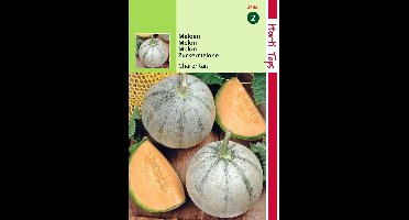 2 stuks - Hortitops - Meloenen Charentais