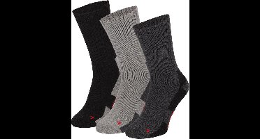 Apollo Dames / Heren Thermo Sokken Grijs Unisex 3-Pack - Maat 46-48