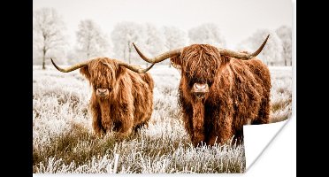 Poster Schotse hooglander - Koe - Natuur - Winter - 30x20 cm
