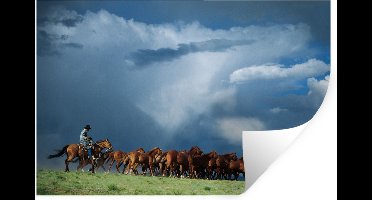 Muurstickers - Sticker Folie - Paarden - Cowboy - Lucht - 30x20 cm - Plakfolie - Muurstickers Kinderkamer - Zelfklevend Behang - Zelfklevend behangpapier - Stickerfolie