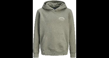 Jack & Jones Junior Hoodie Hoodie Mini
