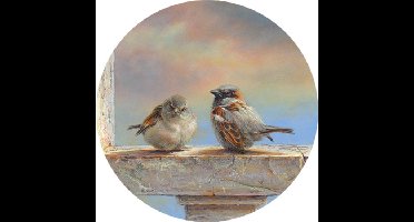 Art Circle Erik van Ommen - Mussen (30cm) dibond