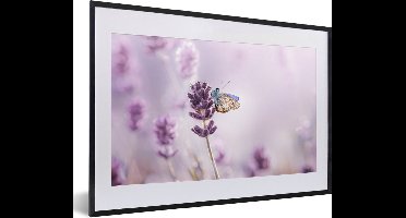 PosterMonkey - Poster - Fotolijst - Lavendel - Vlinder - Bloemen - Botanisch - Posterlijst - 60x40 cm - Poster natuur - Foto met lijst - Poster lavendel - Poster frame