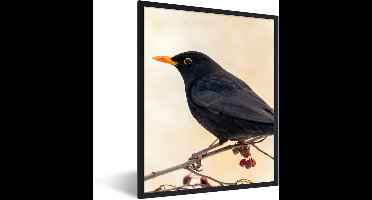 PosterMonkey - Poster - Fotolijst - Merel - Vogel - Takken - Bes - 30x40 cm - Poster natuur - Foto lijst - Poster frame - Poster vogels