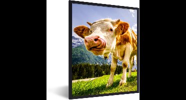 PosterMonkey - Poster - Fotolijst - Koeien - Gebergte - Alpen - Natuur - Dieren - 30x40 cm - Posters - Foto met lijst - Poster met kader - Poster koe - Posterlijst