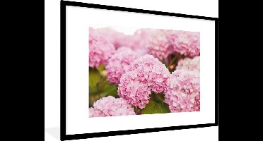 PosterMonkey - Poster - Fotolijst - Hortensia - Bloemen - Bladeren - Plant - Roze - 120x80 cm - Foto in lijst - Poster bloemen - Poster lijst - Kamerdecoratie