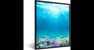 PosterMonkey - Poster - Poster in lijst - Fotolijst - Vissen - Onderwaterwereld - Water - Tropische vissen - 60x80 cm - Kader - Kamer decoratie - Poster met frame - Wanddecoratie natuur - Poster natuur