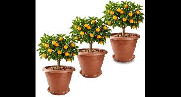 Plasticforte 3x plantenpot met opvang schaal - terracotta - rond - D45 x H38 cm - kunststof - buiten - tuin - bloempot