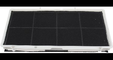 BOSCH - koolstoffilter voor afzuigkap voor afzuigkap - 40.5 x 21.5cm - 00452150