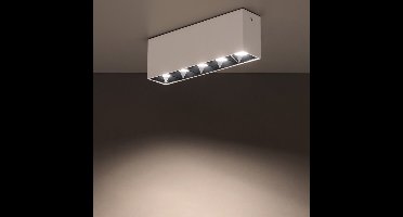 Lyora Witte opbouwspot Midi Led 5x1 leds - 4000K - 10052