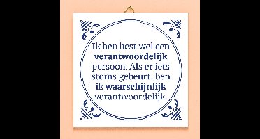Tegeltje Ik ben best wel een verantwoordelijk persoon. van Ditverzinjeniet