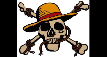 FaNaTtik One Piece Medallion Jolly Roger Limited Edition Decoration