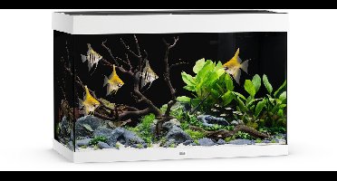 Juwel Rio 290 Led - Aquarium - 101x51x66 cm Wit